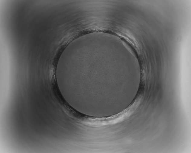 X0000096410029200801241229