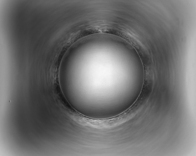 X0000096410030200801241229