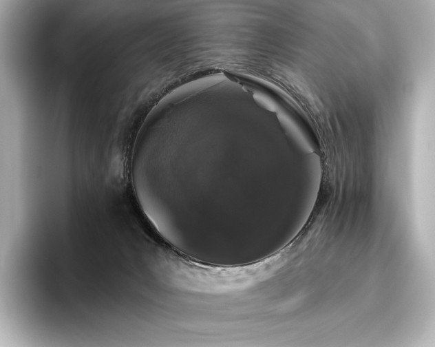 X0000096410031200801241229