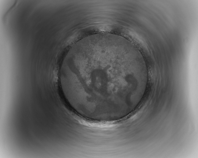 X0000096410032200801241229