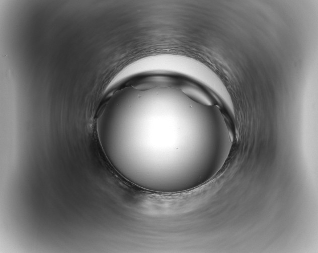 X0000096410033200801241229