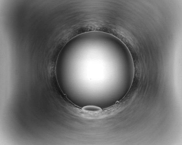 X0000096410034200801241229