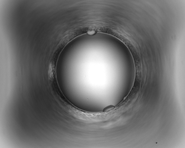 X0000096410038200801241229