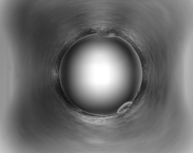 X0000096410040200801241229