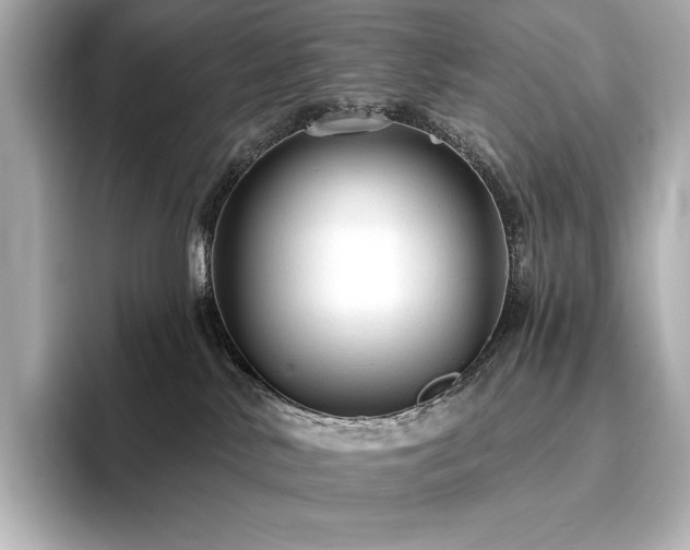 X0000096410042200801241229