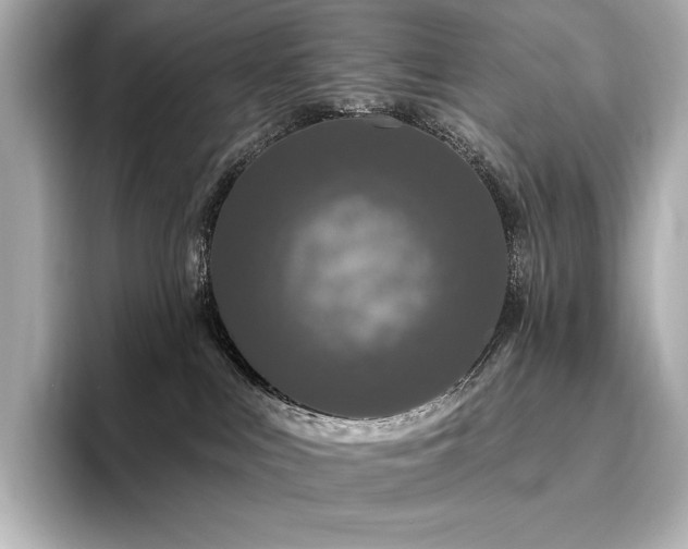 X0000096410043200801241229