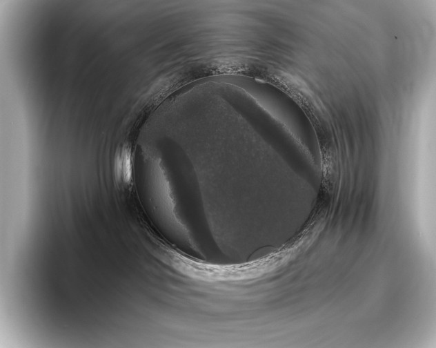 X0000096410046200801241229