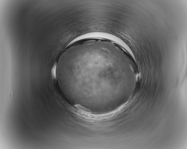 X0000096410047200801241229