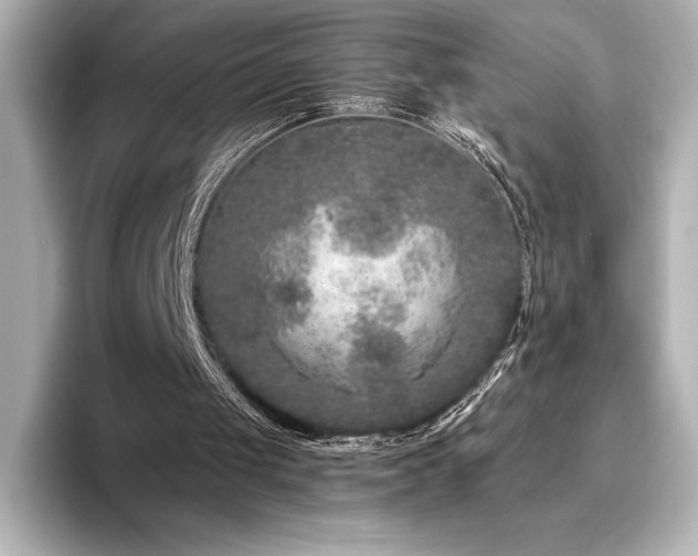 X0000096410049200801241229