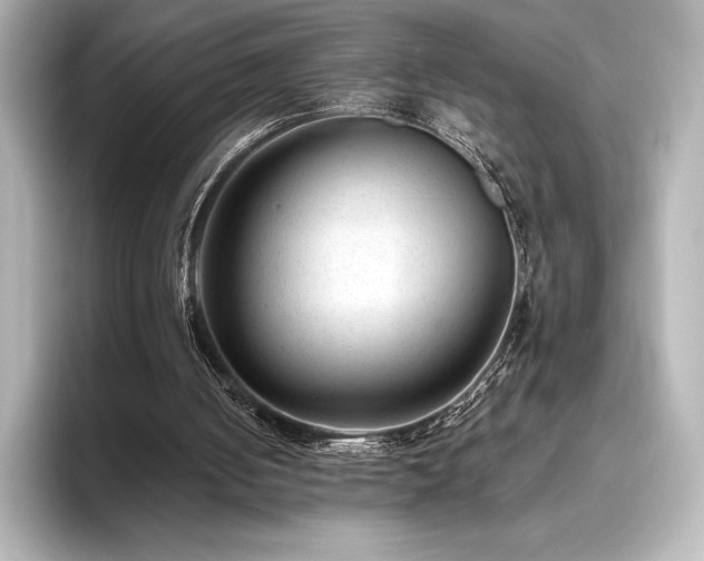 X0000096410050200801241229