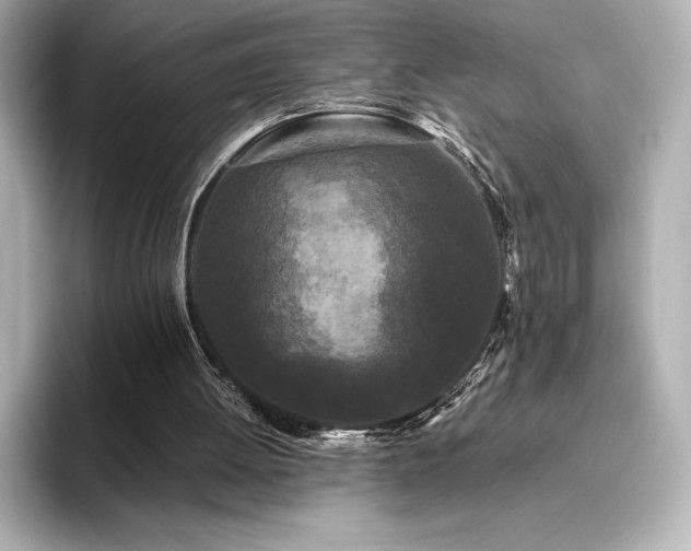 X0000096410052200801241229