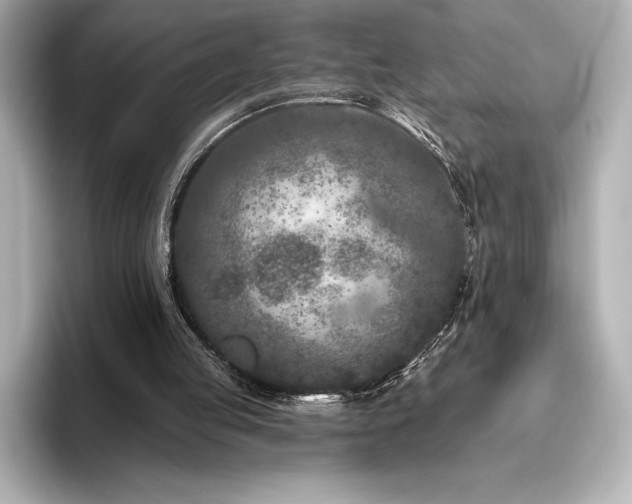X0000096410053200801241229