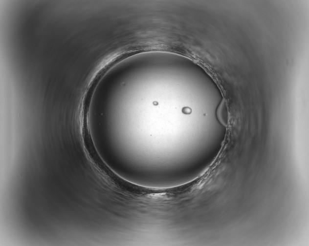 X0000096410054200801241229
