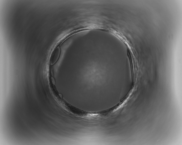 X0000096410055200801241229