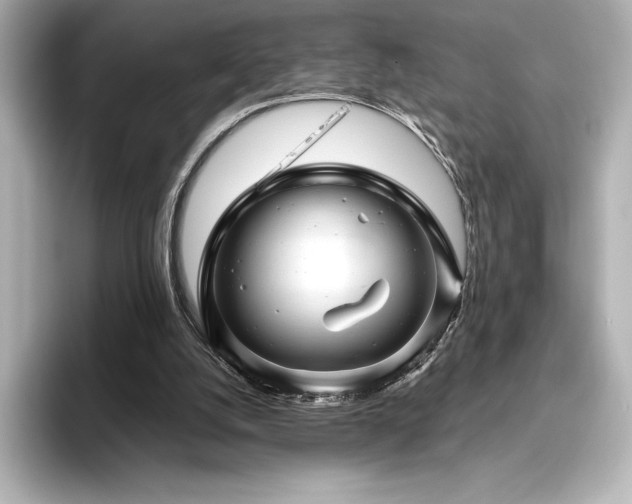 X0000096410056200801241229