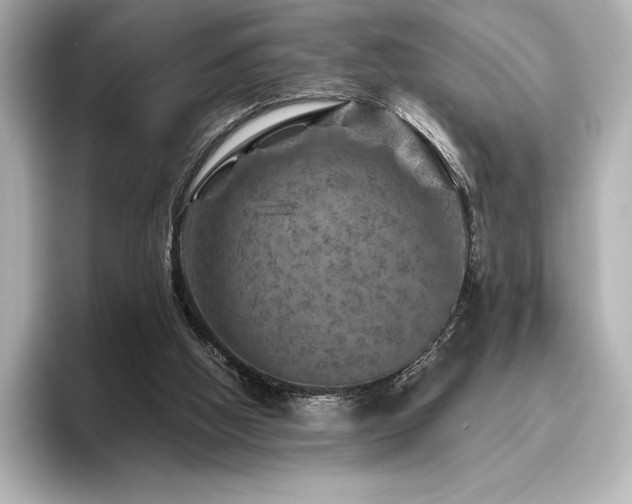 X0000096410058200801241229