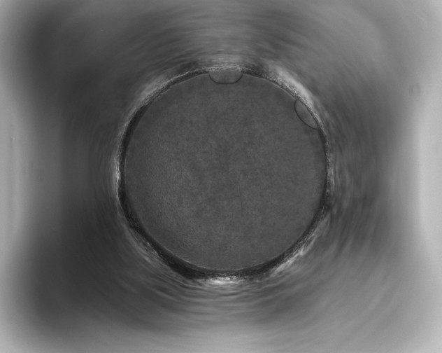 X0000096410059200801241229