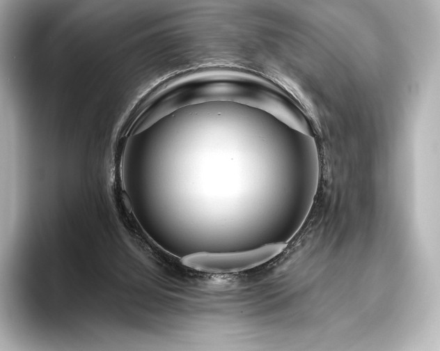 X0000096410060200801241229