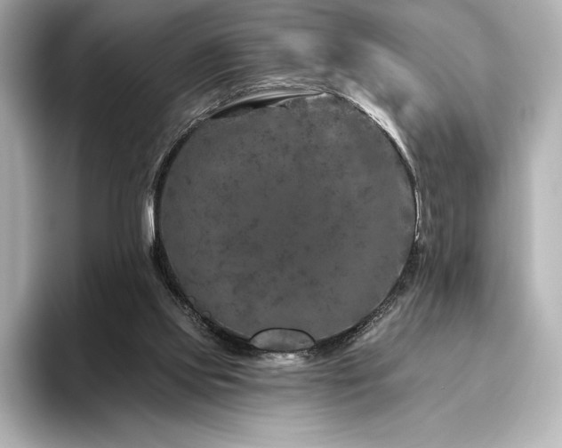X0000096410061200801241229