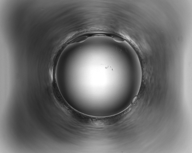 X0000096410062200801241229