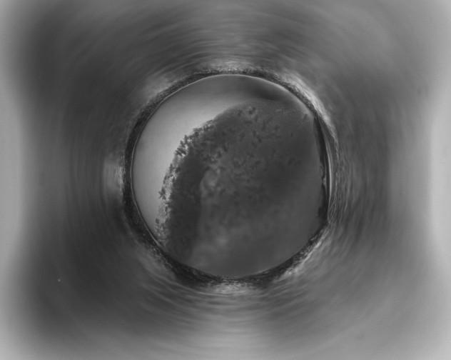 X0000096410063200801241229