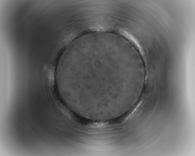 X0000096410065200801241229