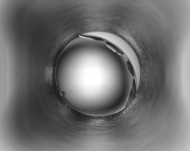 X0000096410066200801241229