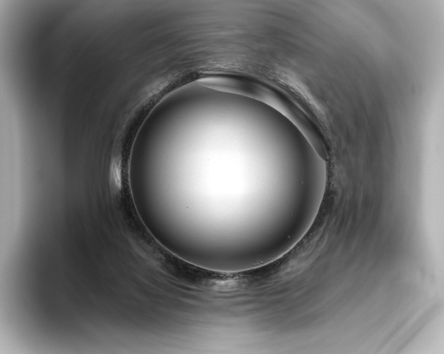 X0000096410068200801241229