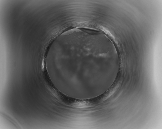 X0000096410069200801241229