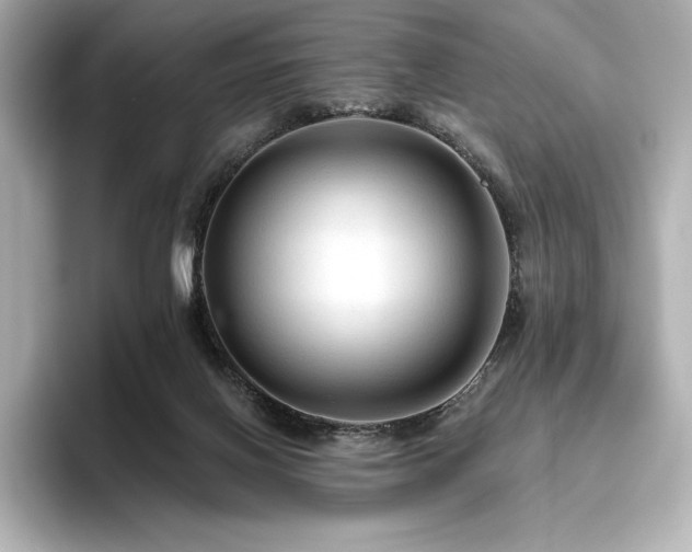 X0000096410070200801241229