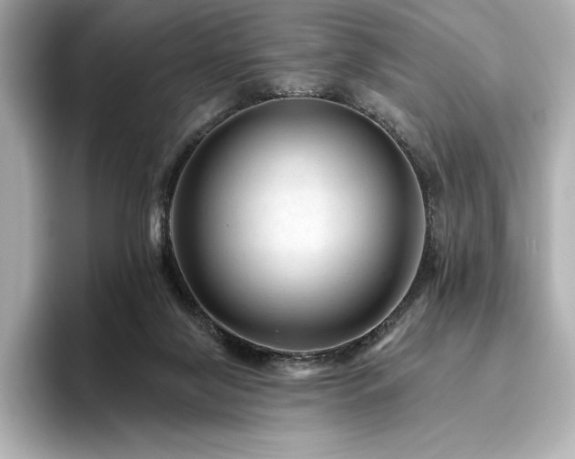 X0000096410071200801241229