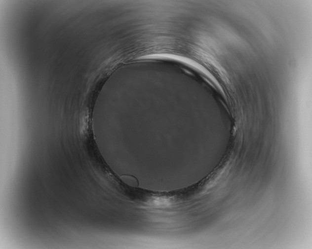 X0000096410073200801241229