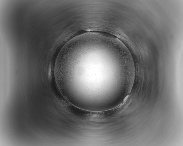 X0000096410074200801241229