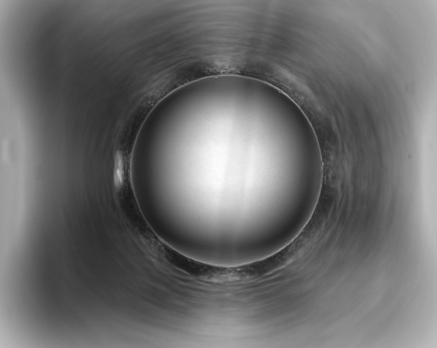 X0000096410075200801241229