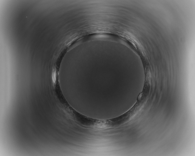 X0000096410076200801241229