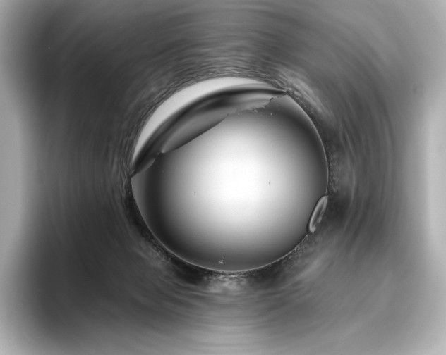 X0000096410077200801241229
