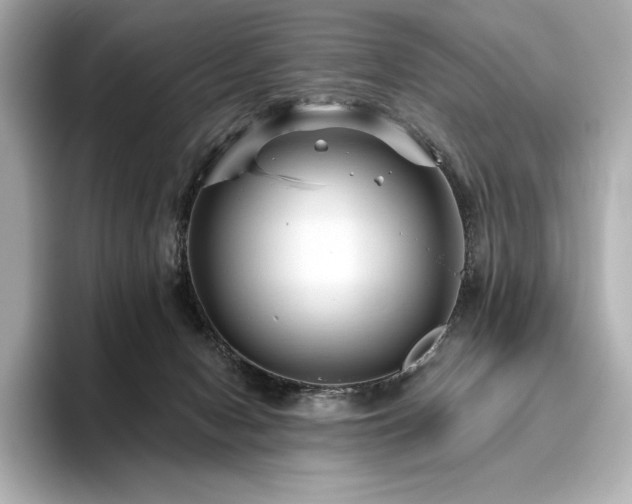 X0000096410078200801241229
