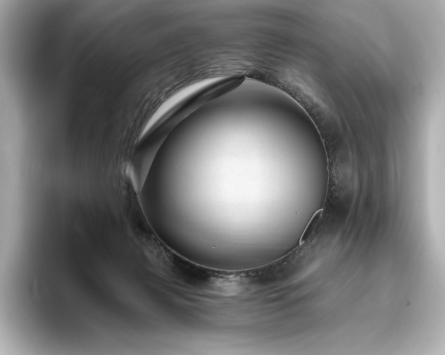 X0000096410079200801241229