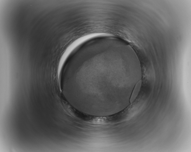 X0000096410080200801241229