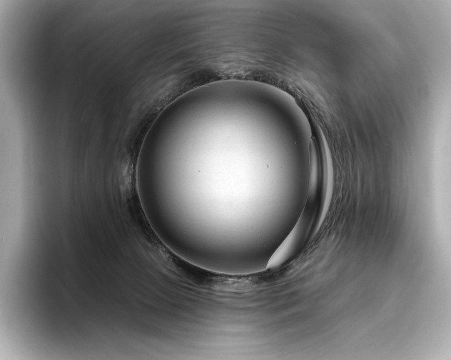 X0000096410081200801241229