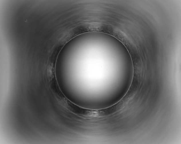 X0000096410083200801241229