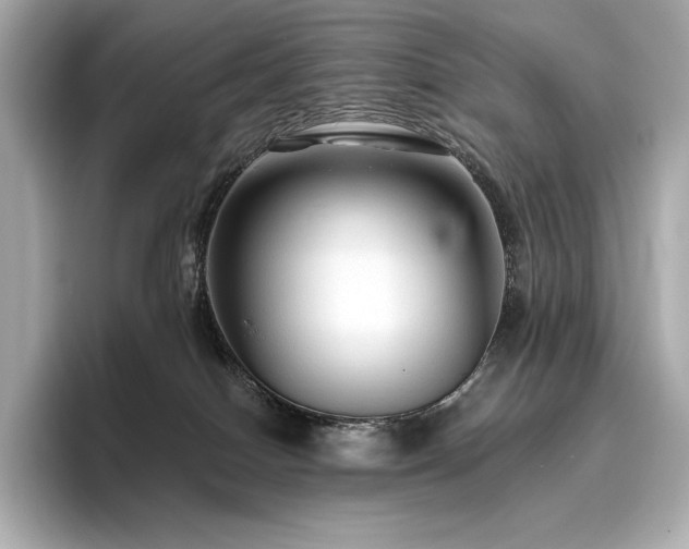 X0000096410086200801241229