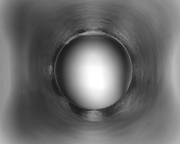 X0000096410087200801241229