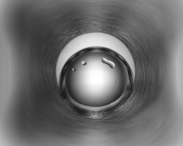 X0000096410088200801241229