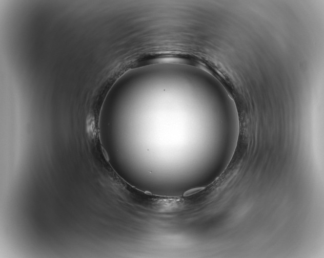 X0000096410089200801241229