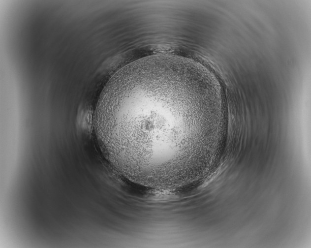 X0000096410093200801241229