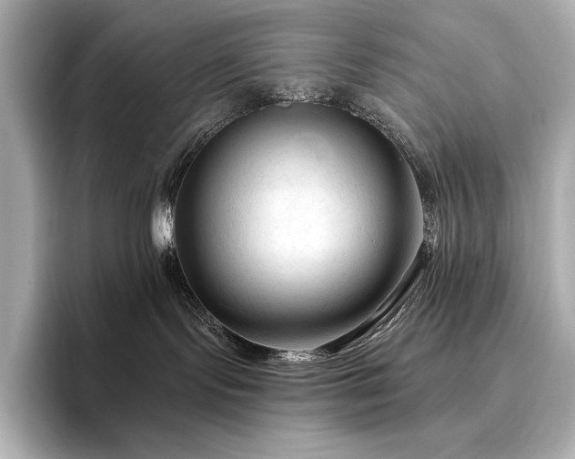 X0000096410095200801241229