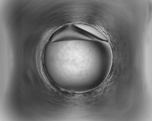 X0000096410097200801241229