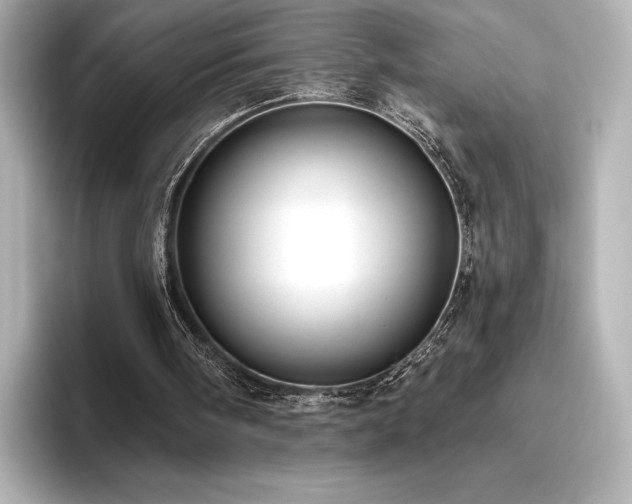X0000096410098200801241229