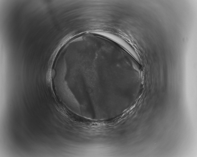X0000096410099200801241229